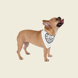 LWP Heart Pet Bandana - Love With Purpose 